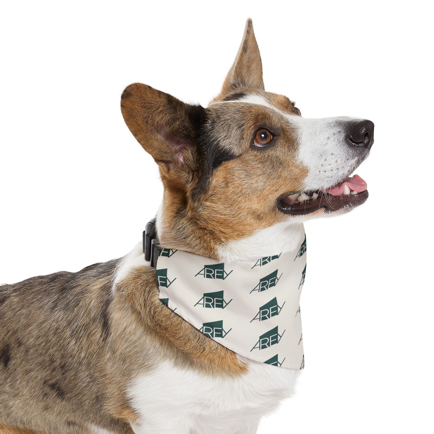 AREY Pet Bandana Collar - Dark Turquoise