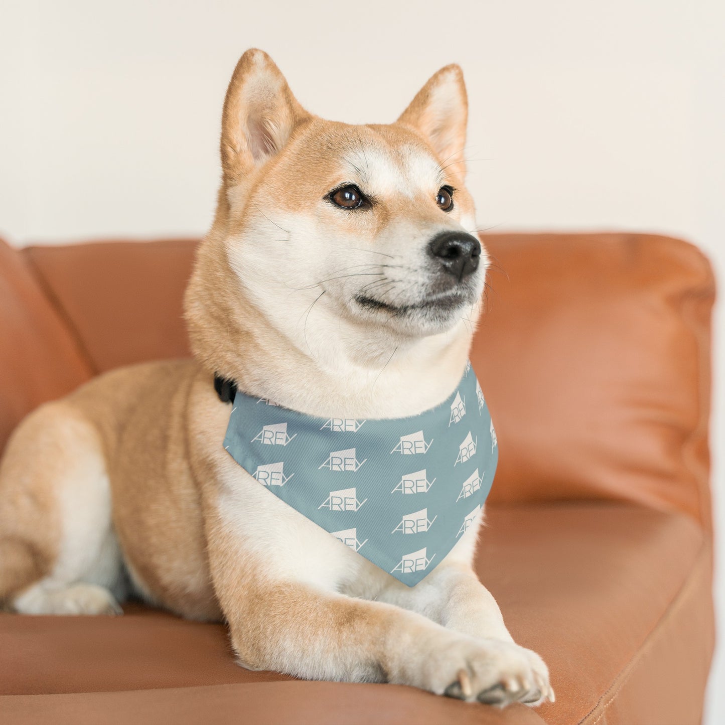 AREY Pet Bandana Collar - Seafoam