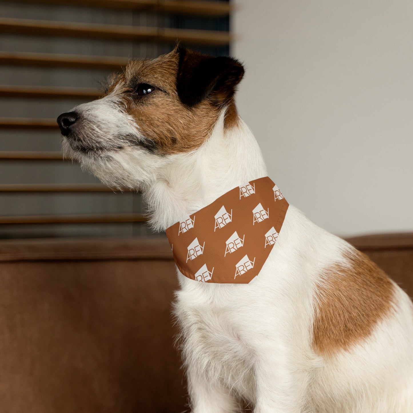 AREY Pet Bandana Collar - Brown