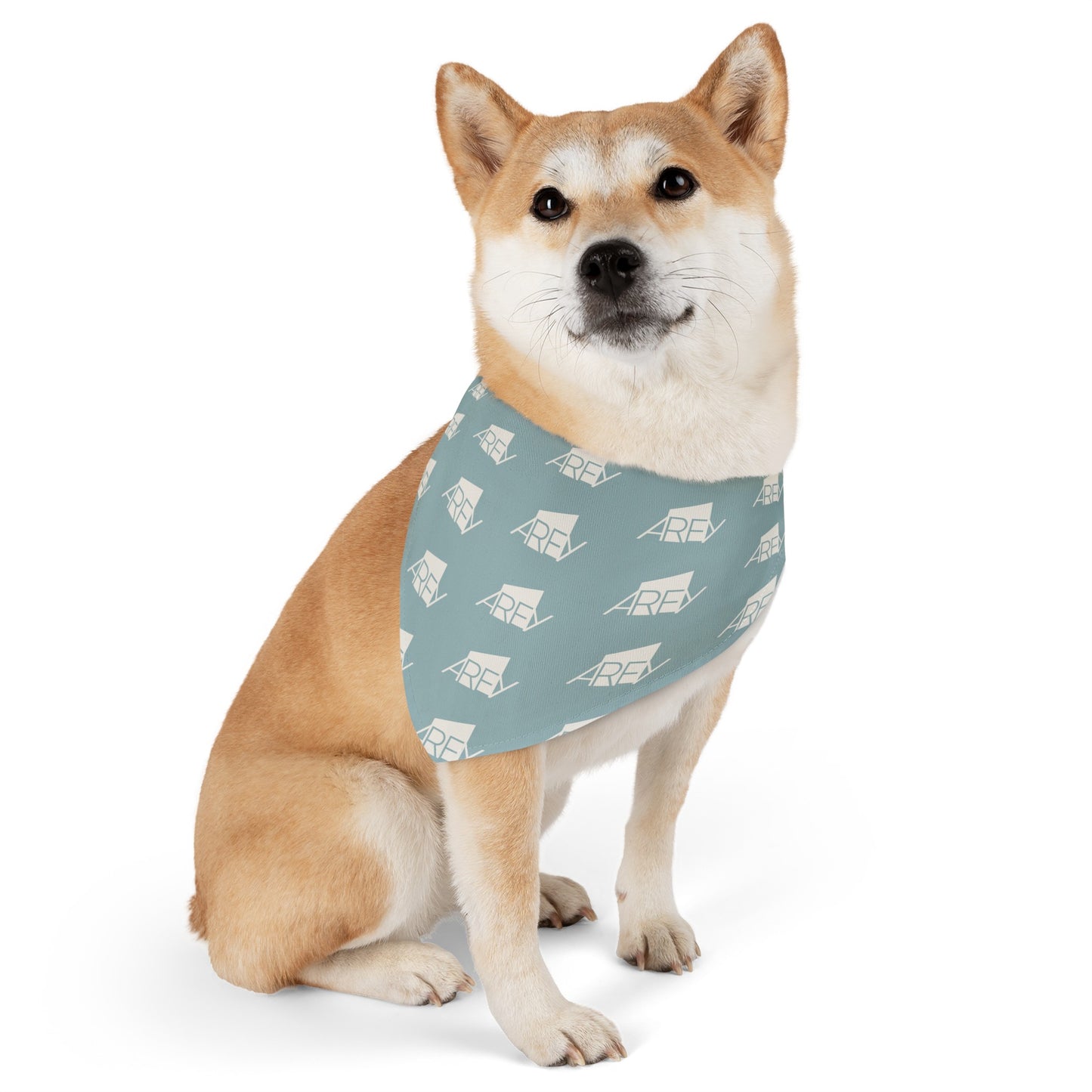 AREY Pet Bandana Collar - Seafoam