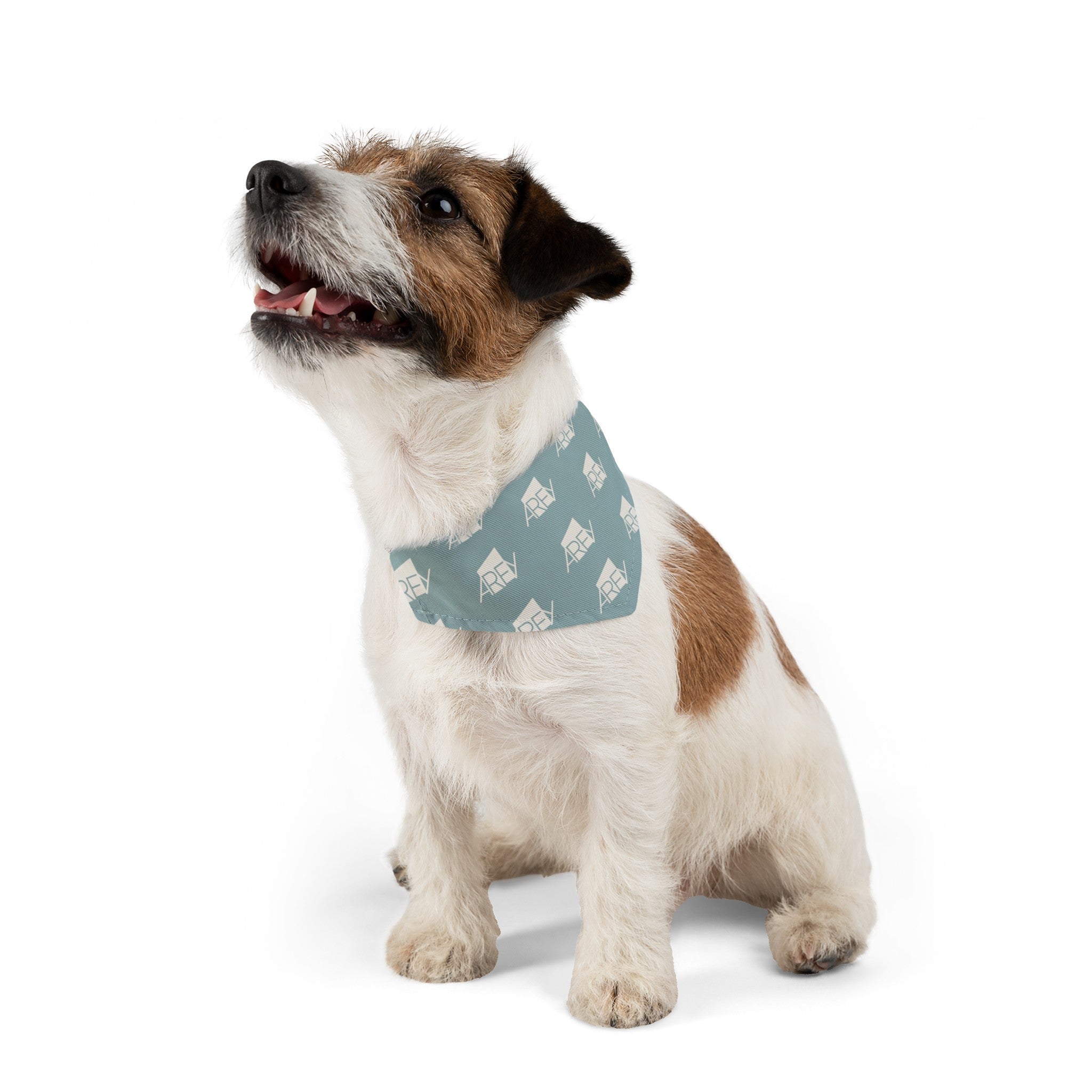 AREY Pet Bandana Collar Seafoam