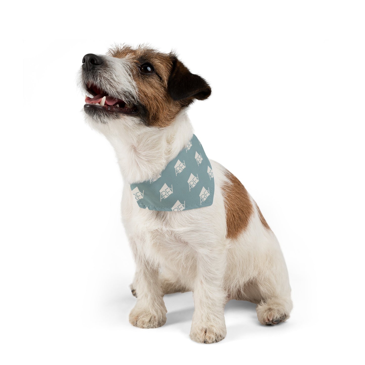 AREY Pet Bandana Collar - Seafoam