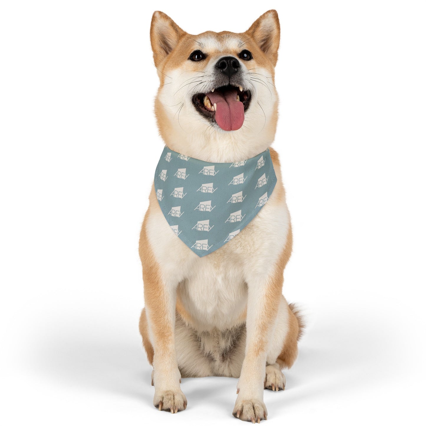 AREY Pet Bandana Collar - Seafoam