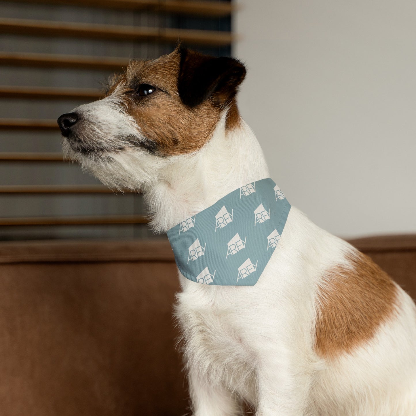 AREY Pet Bandana Collar - Seafoam