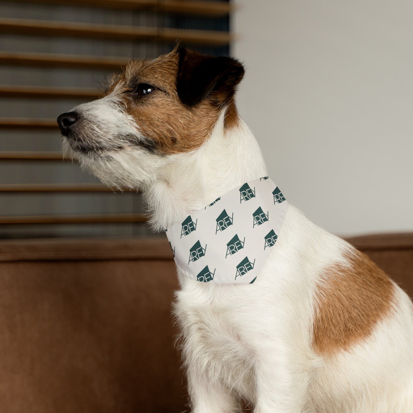 AREY Pet Bandana Collar - Dark Turquoise