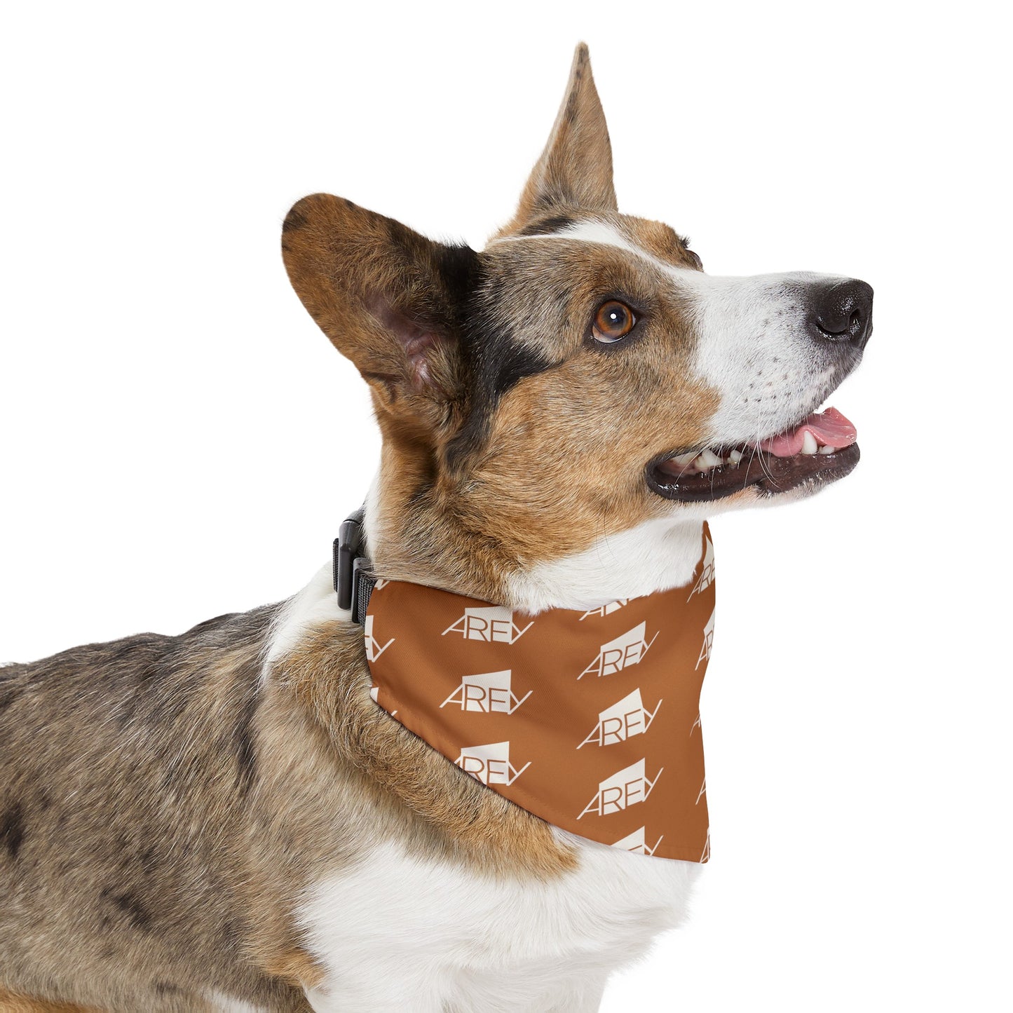 AREY Pet Bandana Collar - Brown