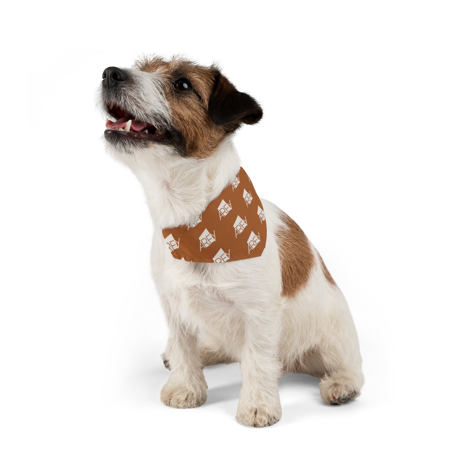 AREY Pet Bandana Collar - Brown