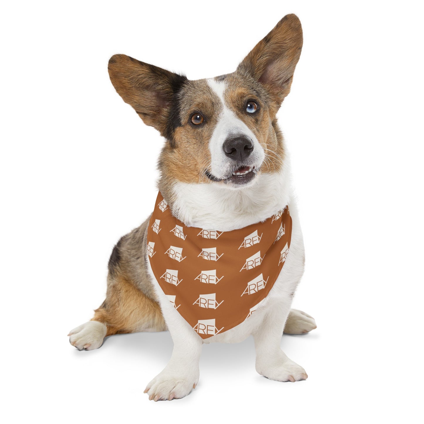 AREY Pet Bandana Collar - Brown