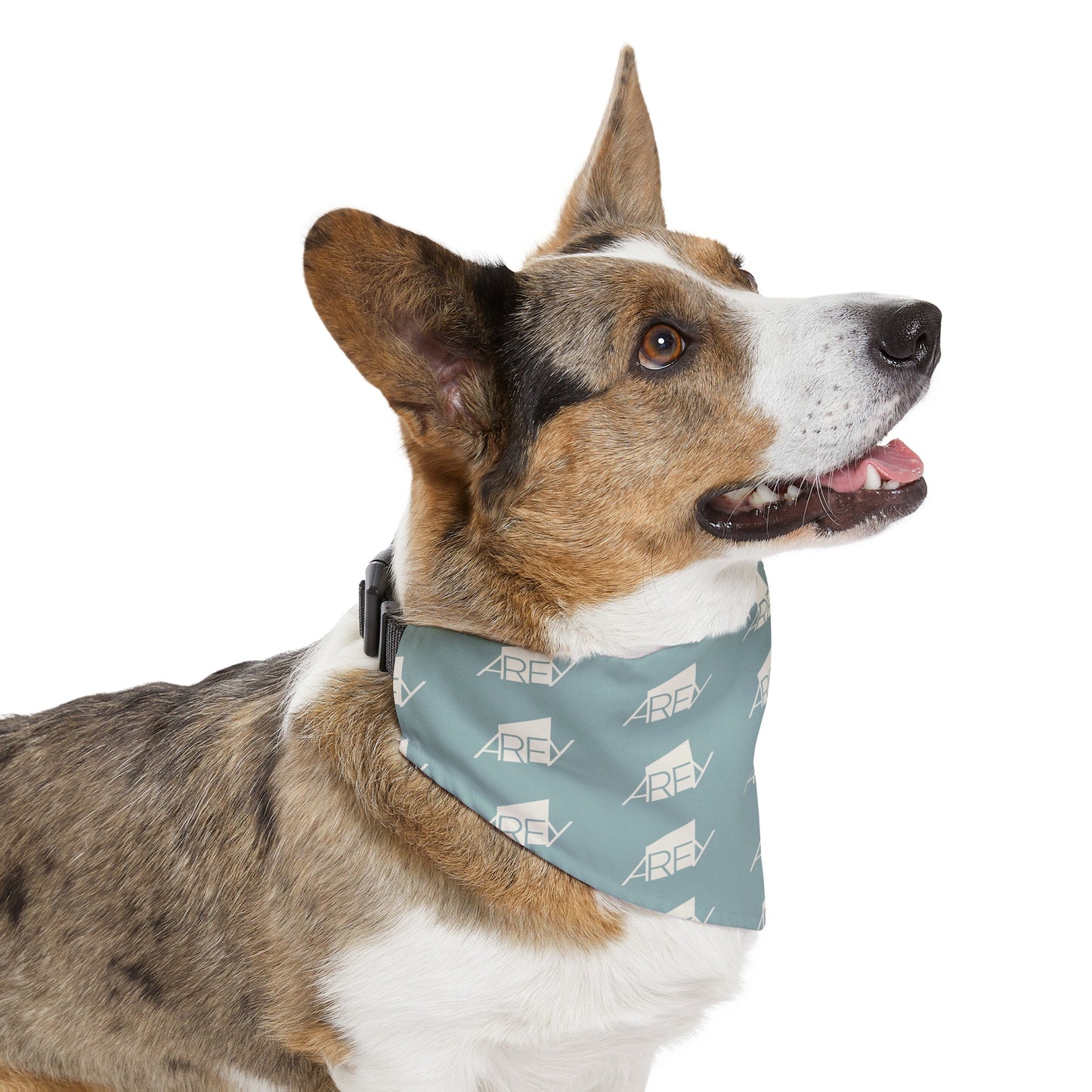 AREY Pet Bandana Collar - Seafoam